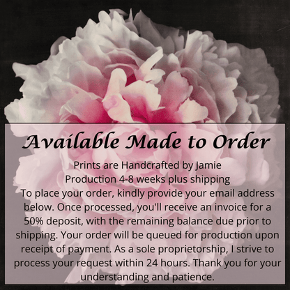 Fine Art Pink rose peony emulsion print with gold and pearl iridescence on cotton paper - jamie buzil photography