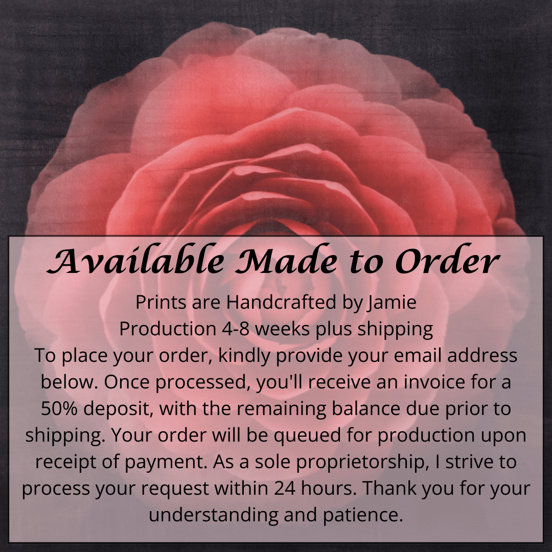 Fine art Flower Emulsion Print of Red Camellia with double blooming symmetrical velvety petals Centered in Square mode, black background on cotton paper deckle edge - jamie buzil photography