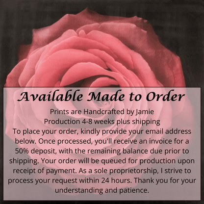 Fine Art Print of Red Rose for sale handcrafted from a photograph of a symmetrical red full flower with a swirl center Centered in Square mode, black background, square on cotton paper deckle edge - jamie buzil photography