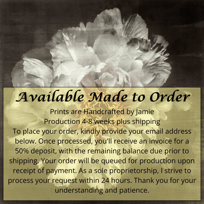 Fine Art White Peony 2 emulsion print showcasing delicate flower with gold and pearl iridescence on cotton paper - jamie buzil photography