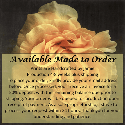 Fine art yellow rose emulsion print-jamie buzil