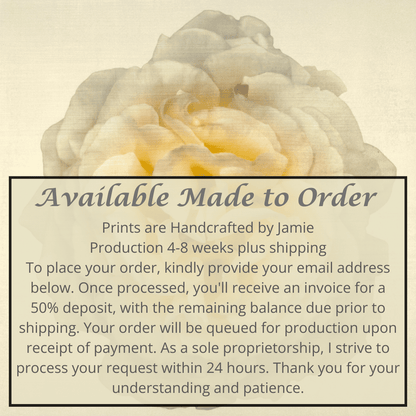 Fine-art-flower-yellow-rose-orginal-emulsion-print-jamie-buzil