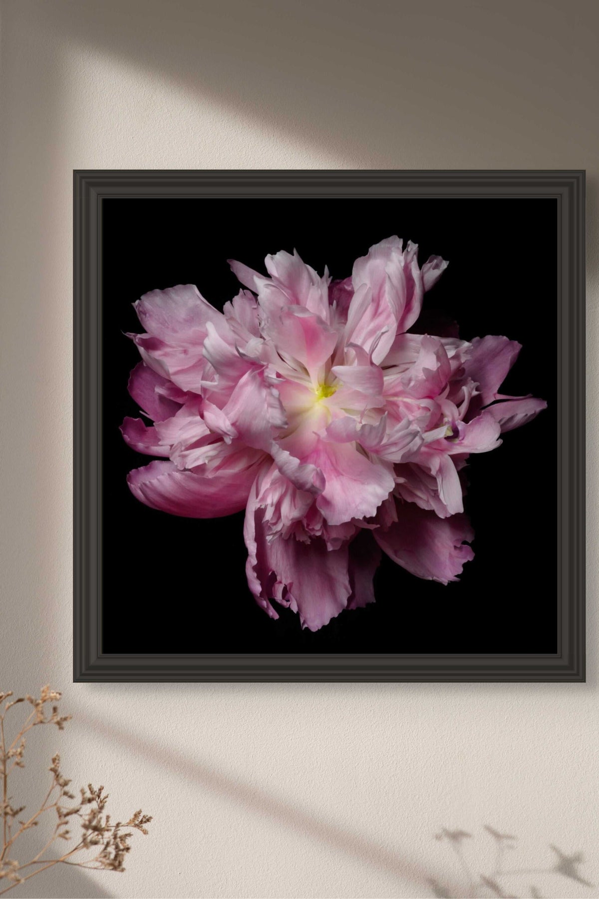 Pink Peony floral print featuring a layered pink bloom with ruffled petals on a black background in a dark frame.