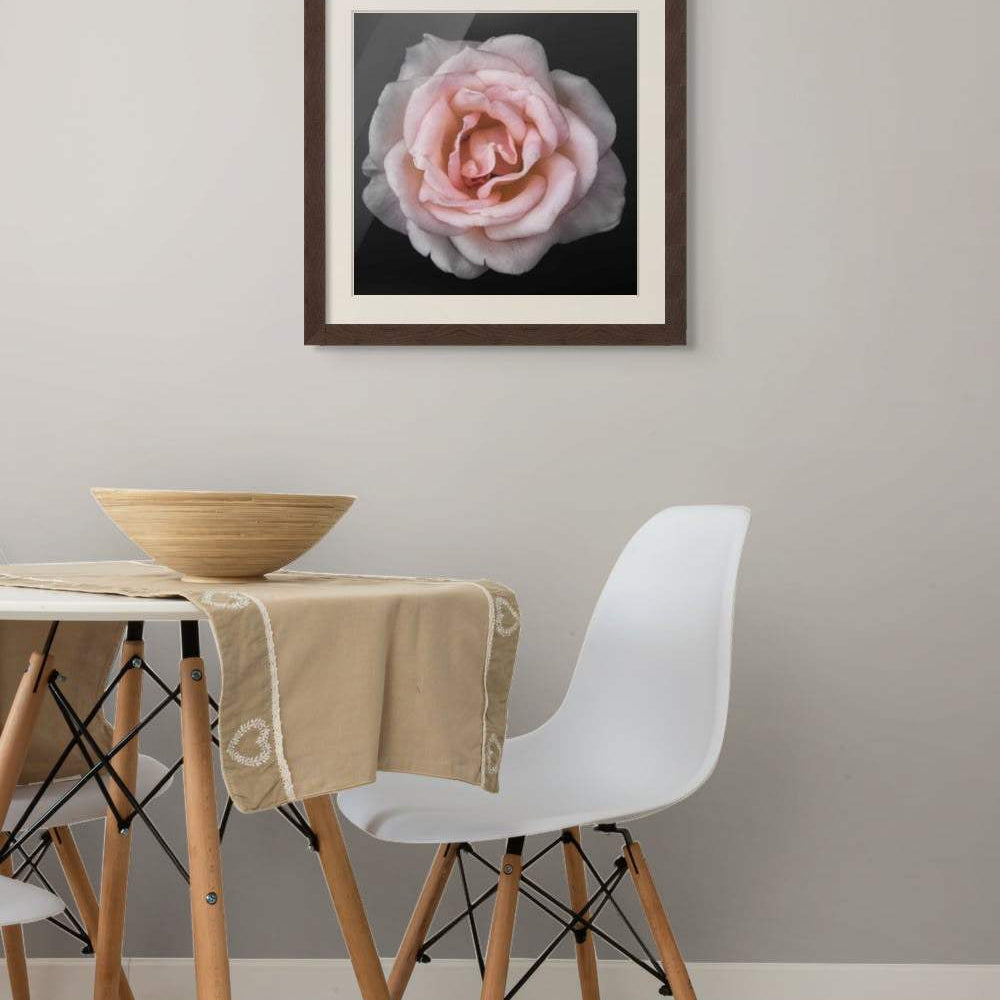 Floral art print featuring a Pink Rose with layered pale pink petals, displayed in a dark wood frame with a white mat.