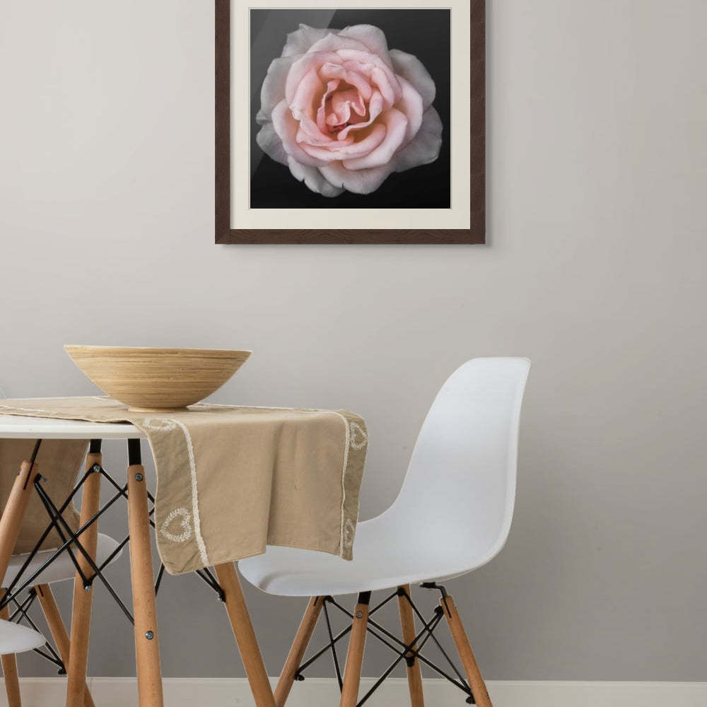 Framed fine art pink rose on wall in dining area