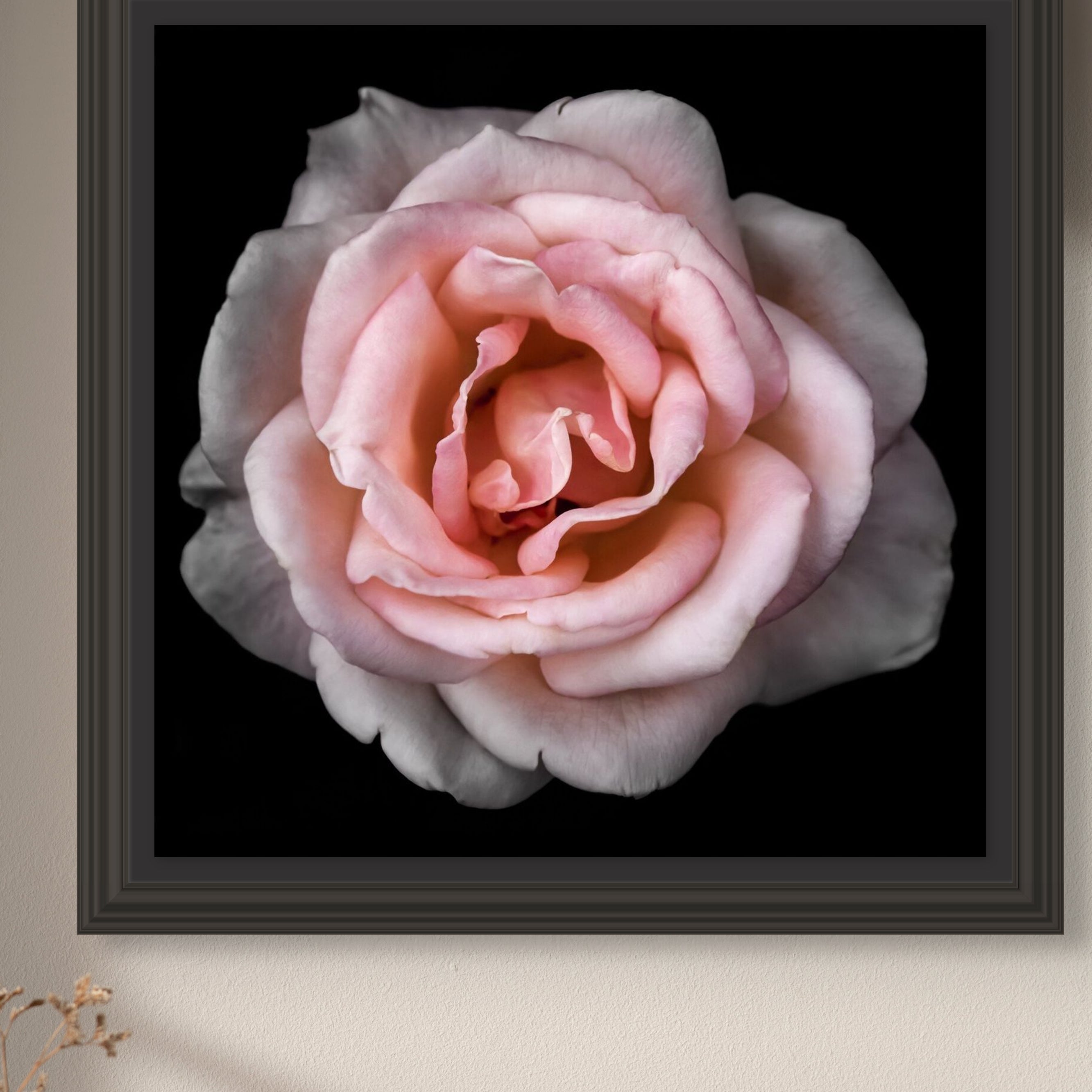 Framed Pink Rose on wall
