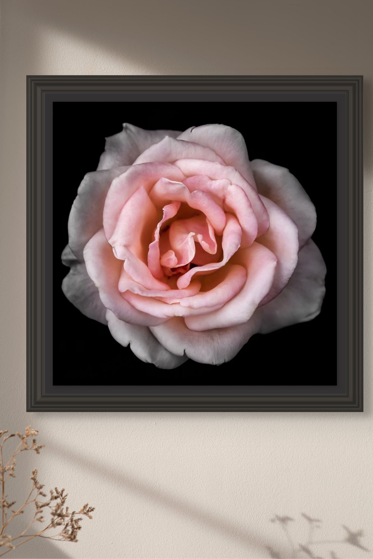 Framed Pink Rose on wall